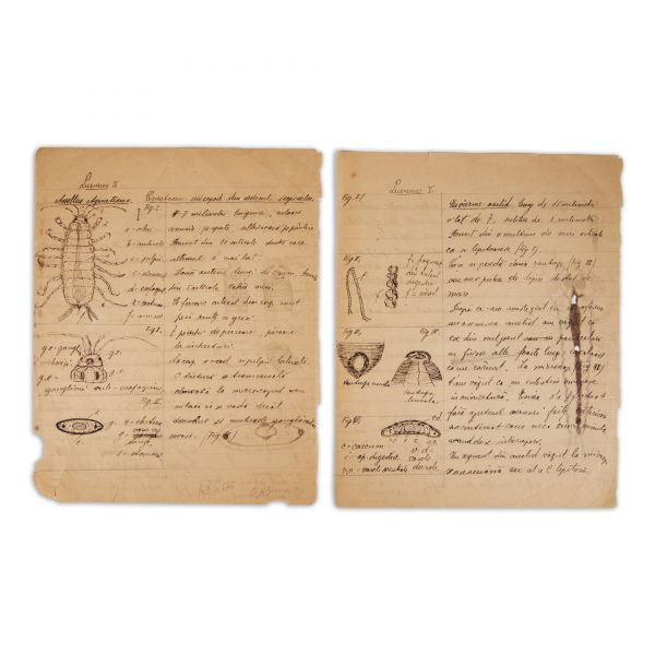 Mircea Eliade, patru lucrări de biologie, cu desene, 1920 - 1921