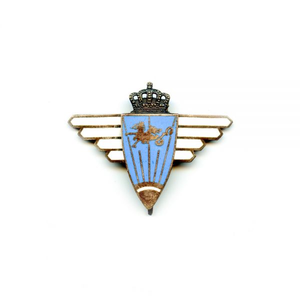 Insigna Flotila de luptă