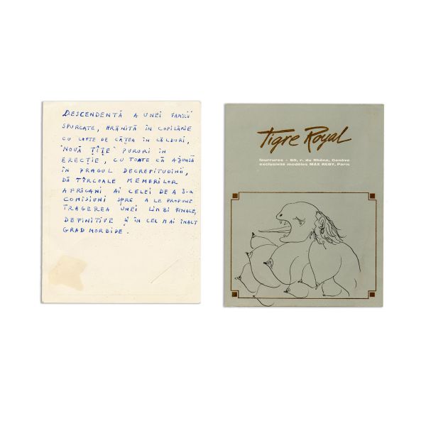Victor Brauner, „Tigrul cu nouă țâțe”, desen și scrisoare trimisă lui Geo Bogza - Piesă rară