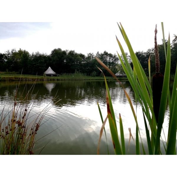 Ia-ți prietenii și hai în mijlocul naturii la Hotelul de Bumbac (3nopți de cazare în 5 corturi/15 persoane)