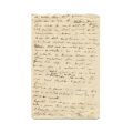 Mircea Eliade, Gâze și gângănii, manuscris 