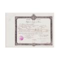 Vasile Stoicovici, trei diplome de studii superioare, 1911-1913