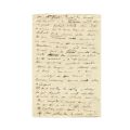Mircea Eliade, Gâze și gângănii, manuscris 