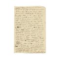 Mircea Eliade, Gâze și gângănii, manuscris 