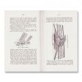 Ing. Const. N. Gheorghiu, Zborul natural și zborul mecanic, 1912, cu monograma regelui Carol I 