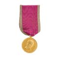 Medalia „Bene Merenti”, clasa I + brevet, cu semnătura regelui Carol I, acordate lui George Stephanescu