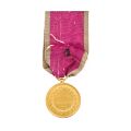 Medalia „Bene Merenti”, clasa I + brevet, cu semnătura regelui Carol I, acordate lui George Stephanescu