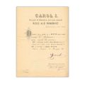 Medalia „Bene Merenti”, clasa I + brevet, cu semnătura regelui Carol I, acordate lui George Stephanescu