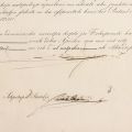 Căpitanul Demetre Arvanitopoulo, diplomă domnească privind dreptul de liberă navigare pe Marea Neagră, semnat de Dimitrie Știrbei, 1853
