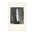 Hommage de la Sculpture a Brancusi et prix Emile de Coninck, 1957