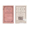 Moise Bota, Graiul român în limba domnitoare sau modul mai uşor de a învăţa românul limba ungurească, 1836