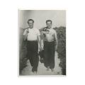 Stephan Roll (Gheorghe Dinu), album cu 234 de fotografii