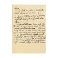 Emil Cioran, manuscris de 18 pagini - Cartea Amăgirilor