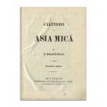 Dimitrie Bolintineanu, Călătorii în Asia Mică, 1915