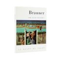 Alain Jouffroy, Brauner, 1959