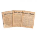 Publicația „Frățilia intru Dreptate”, Anul I, Nr. 1-16, 1880