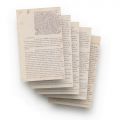 Scrisoare dactilografiată adresată străjerelor și cercetașelor 