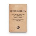 Marcel Brândză, Flora ilustrată a plantelor lemnoase din România, 1934