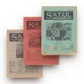 Publicația „Satul”, 1934-1940, 4 numere