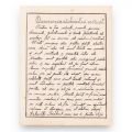 Studiu despre covoare, manuscris