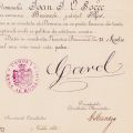 Ioan I. V. Socec, două certificate privind împământenirea, cu semnătura olografă a regelui Carol I și a primarului Constantin F. Robescu 