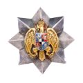 Placa de piept a semnului onorific „Vulturul României” în grad de Mare Ofițer oferită parlamentarilor