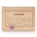 Societatea Științifică-Literară „Tinerimea Română”, două diplome, 1925-1930