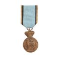 Constantin Ionescu, Medalia Jubiliară „Carol I” + brevet, 10 mai 1906