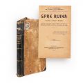 Dr. P. G. Vrăncea, Gr. N. Roiu și Vesbianu, Spre ruină, 1900 