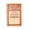 „Mercur”, „Dunărea Cherestea”, „Magazinele Mercur”, Societatea Națională de Gaz Metan, două acțiuni și două titluri