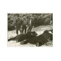 Vizita de lucru a lui Nicolae Ceaușescu, album fotografic + 49 de fotografii - vizita lui Nicolae Ceaușescu la Moscova