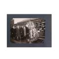 Conferința celor 81 de partide Comuniste și Muncitorești, album fotografic