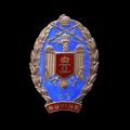 Insigna de 7 ani a „Regimentului 26 Infanterie (Dorobanți) - Rovine”