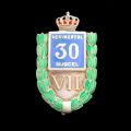 Insigna de 7 ani a „Regimentului 30 Infanterie (Dorobanți) - Muscel”