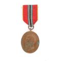 Șase medalii + o insignă