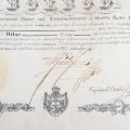 Diplomă de ridicare în rangul de pitar, 6 septembrie 1842