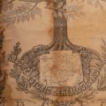 Arborele istoric genealogic al României, 1892
