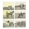 Manevrele regale din Dobrogea - Album fotografic, 1907