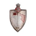 Varianta a Insignei de 7 ani „Regimentul 9 Roșiori -Regina Elena- Robănești” 
