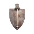 Varianta a Insignei de 7 ani „Regimentul 9 Roșiori -Regina Elena- Robănești” 