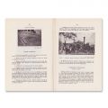 Petru Țiucra, Pribeagul, Pietre rămase. Contribuție la Monografia județului Arad, 1936