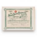 The Sinaia Trust Syndicate Limited, acțiune în valoare de 25 lire sterline