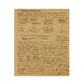 Mircea Eliade, Civilizația brahmanică, manuscris