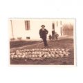 Vânători de iepuri și rațe, 3 fotografii de epocă, anii ‘30