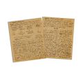 Mircea Eliade, Civilizația brahmanică, manuscris