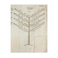 Franz Joseph Sulzer, Istoria Daciei transalpine, trei volume, 1781-1782