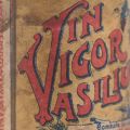 Sticlă cu reclama Vin Vigor Vasilescu