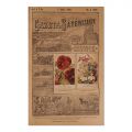 Publicația „Gazeta Săteanului”, Anul X, 24 numere colligate, 1893-1894, cu numeroase ilustrații color