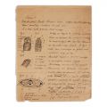 Mircea Eliade, patru lucrări de biologie, cu desene, 1920 - 1921