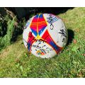 Minge oficiala de fotbal cu 10 autografe